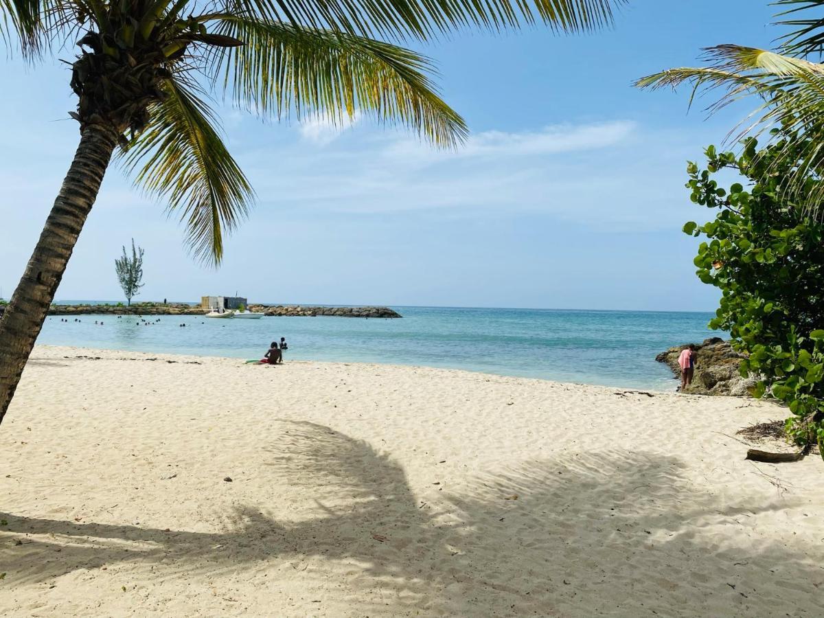 Vanille, A Proximite Des Plages, Idealement Situe Pour Visiter La Guadeloupe Le Gosier  Exteriör bild